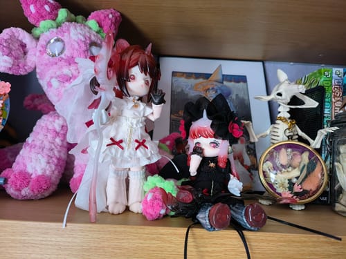 Customer photo review of Antu Spirit of the Book Series Winter Limited Figure