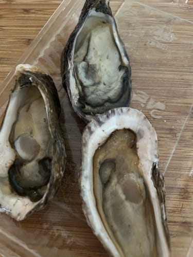 Customer photo review of Fresh NZ Oysters (Half-Shell) 6 Pieces