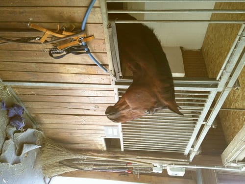 Customer photo review of NUVINT - Digitalkamera