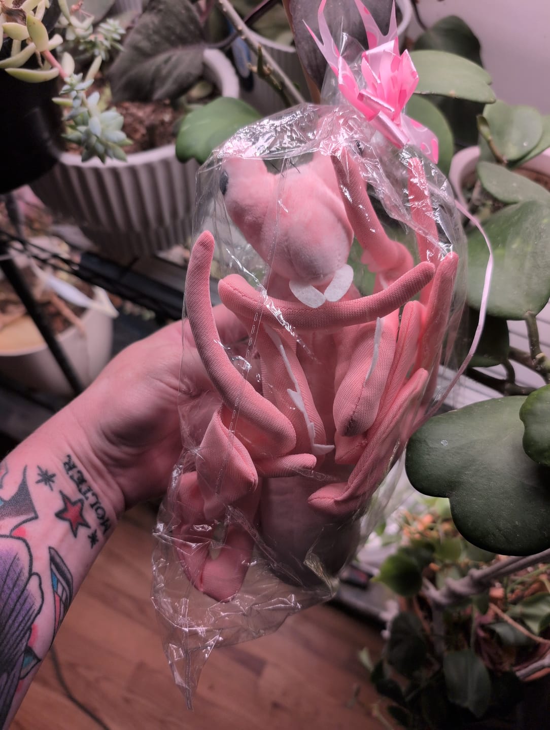 Customer photo review of Pink Orchid Mantis Soft Stuffed Plush Toy
