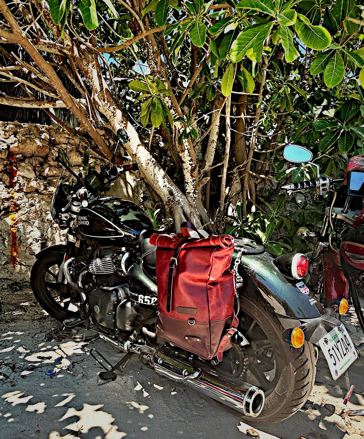 Customer photo review of backpack pannier - classic roll top