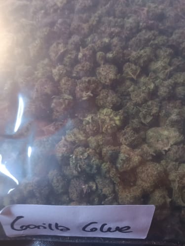 Customer photo review of Gorilla Glue Greenhouse THCA Small Buds