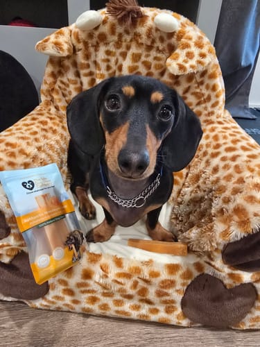Customer photo review of Pumpkin Yak Chews