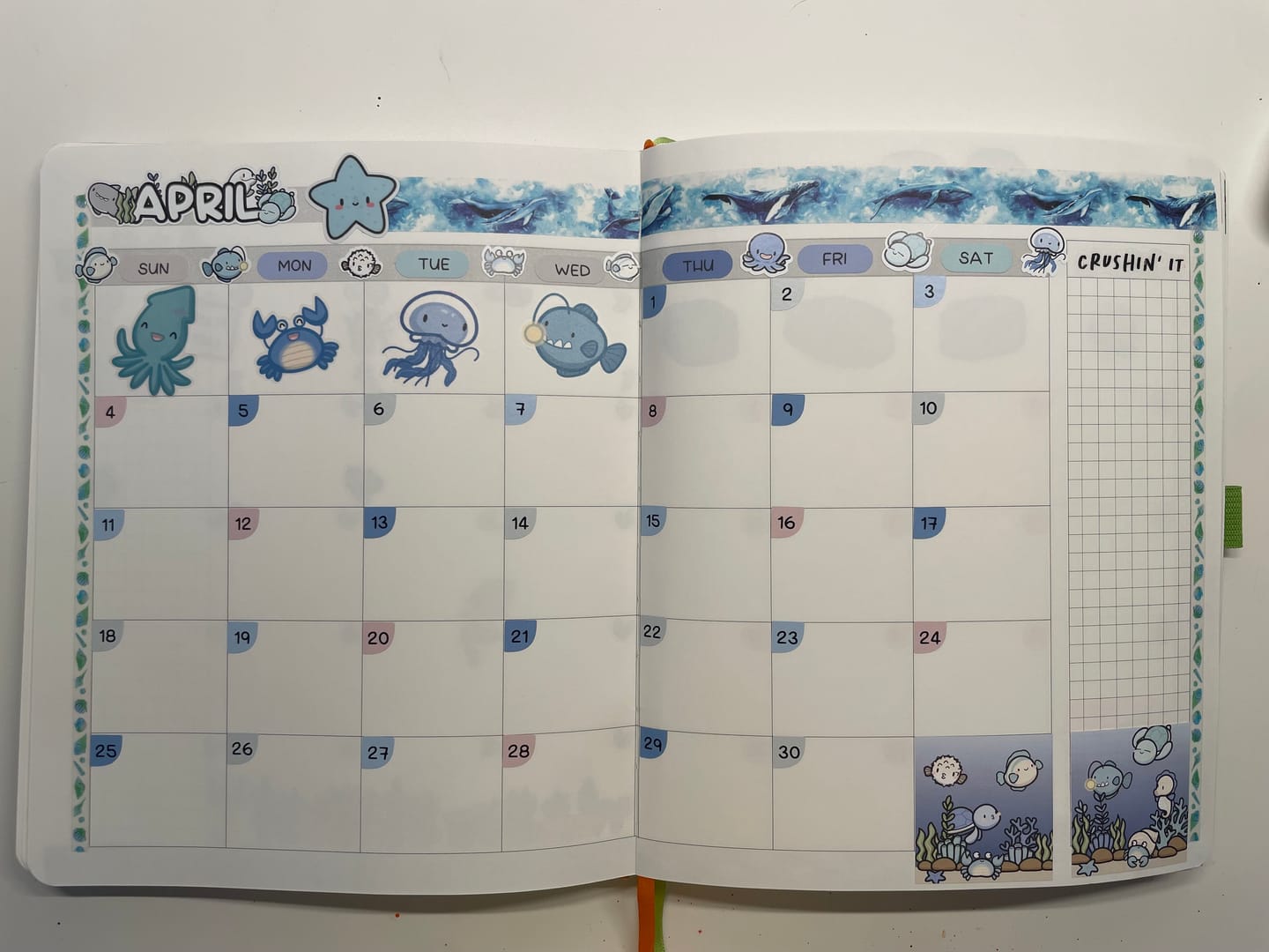 Customer photo review of Deep Blue Sea Journal Pack