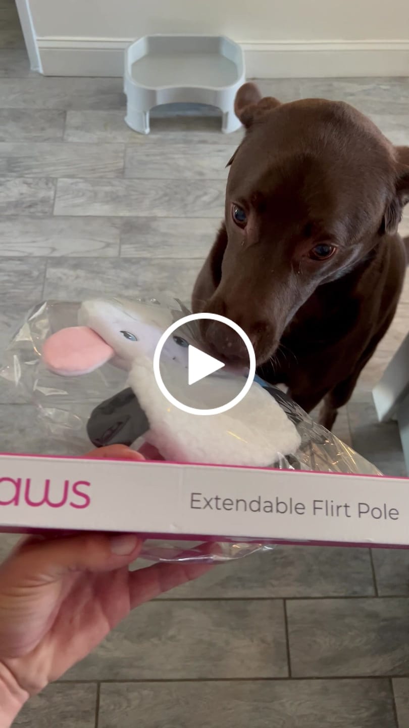 Customer video review of Flirt Pole