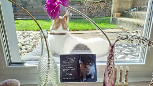 Customer photo review of Hunde Gedenktafel mit Foto & Spruch (UV- & Wetterfest)