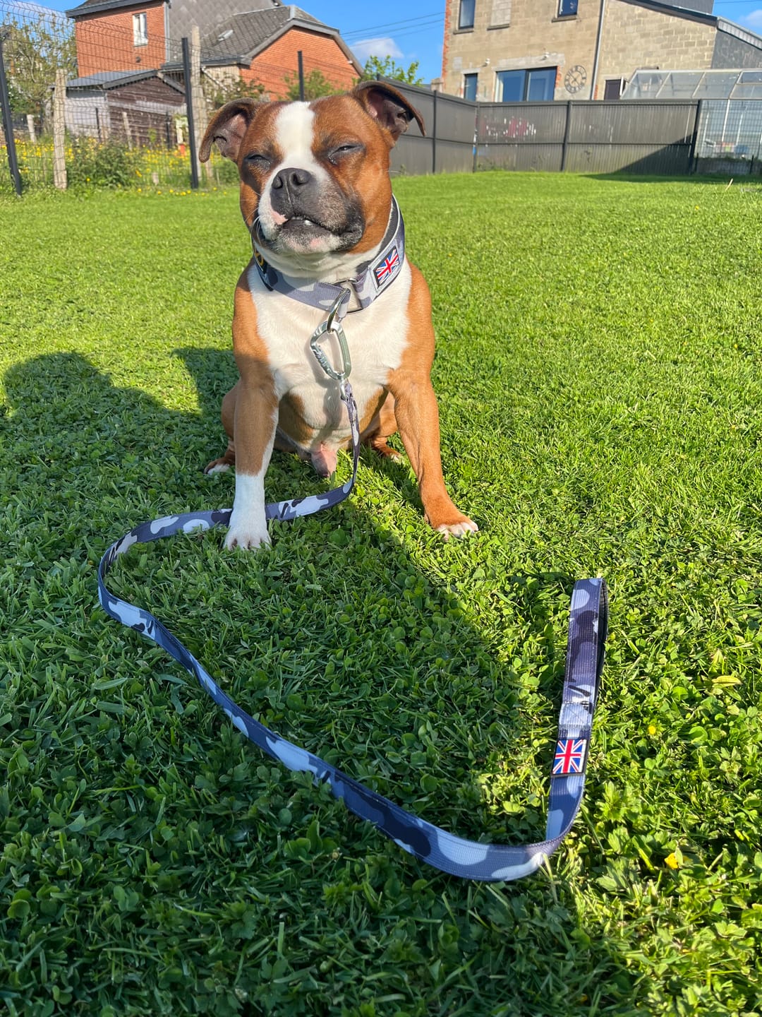 Customer photo review of Staffordshire Bull Terrier 1935® Nylon Leash - Night Camo & Black - Carabiner