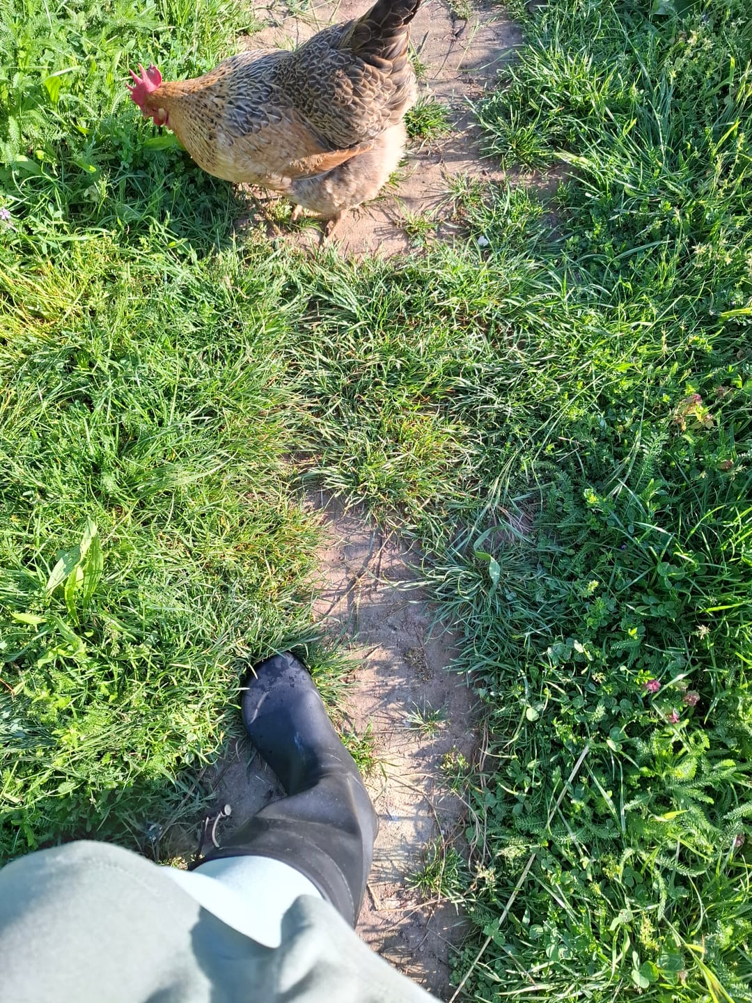 Customer photo review of Vaistoa Katve 2 | Rubber Barefoot Rain Boots