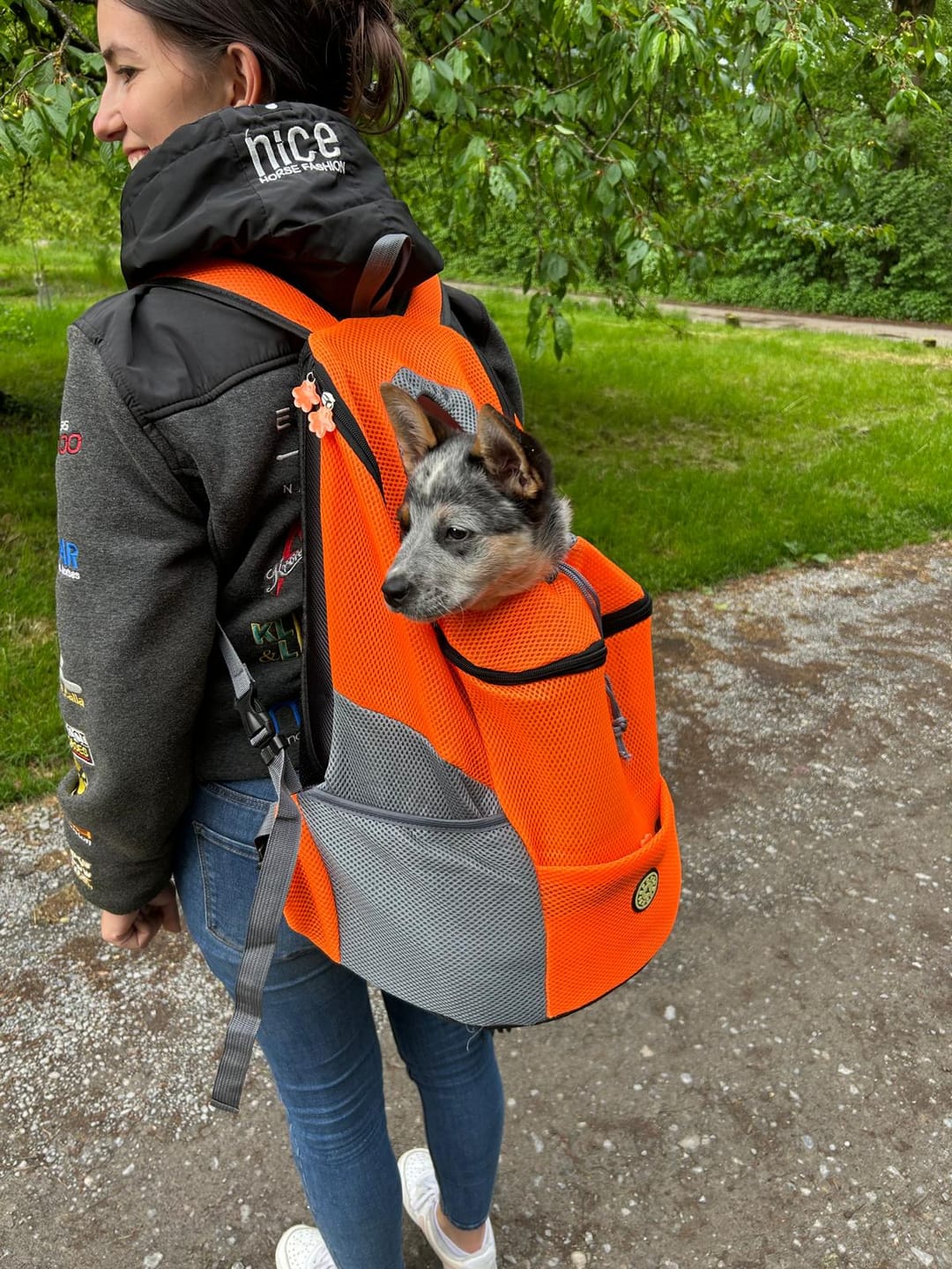Customer photo review of Emmalove - Hunde-Rucksack