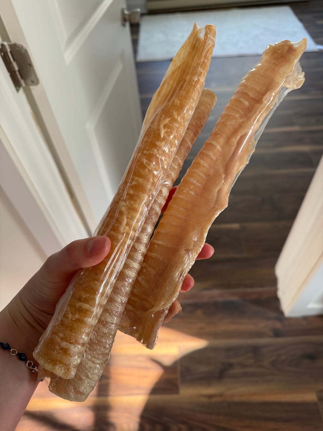 Customer photo review of 12 Inch Beef Trachea