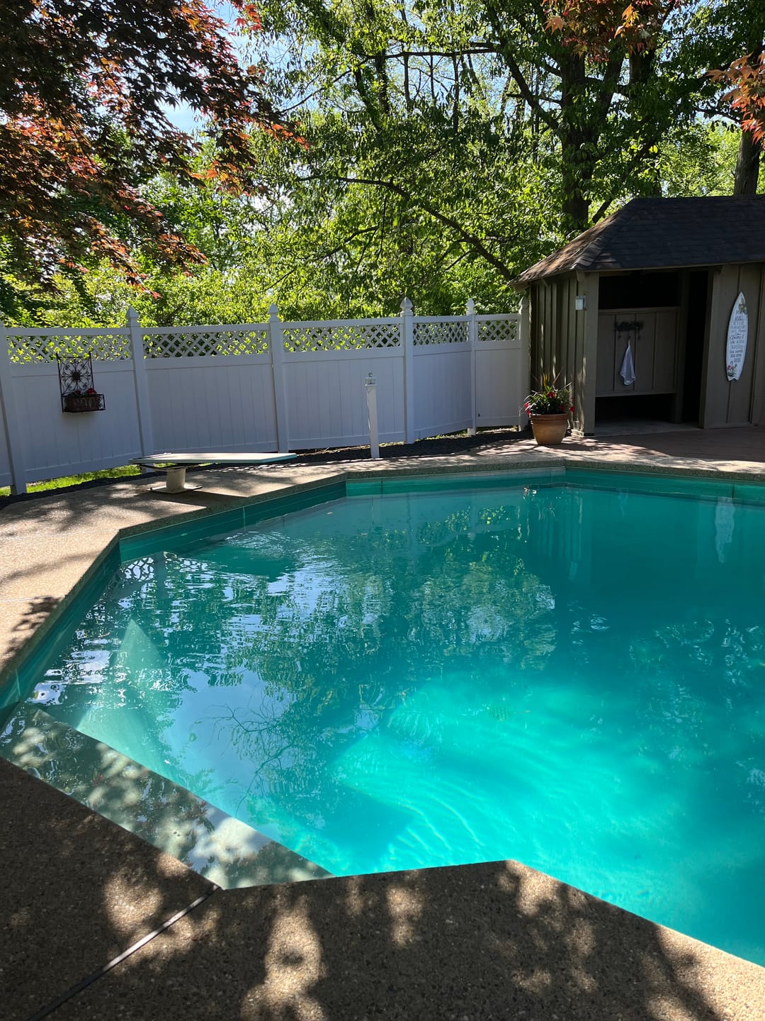 Customer photo review of Refresh 68% Calcium Hypochlorite Pool Shock