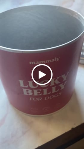 Customer video review of Lucky Belly
