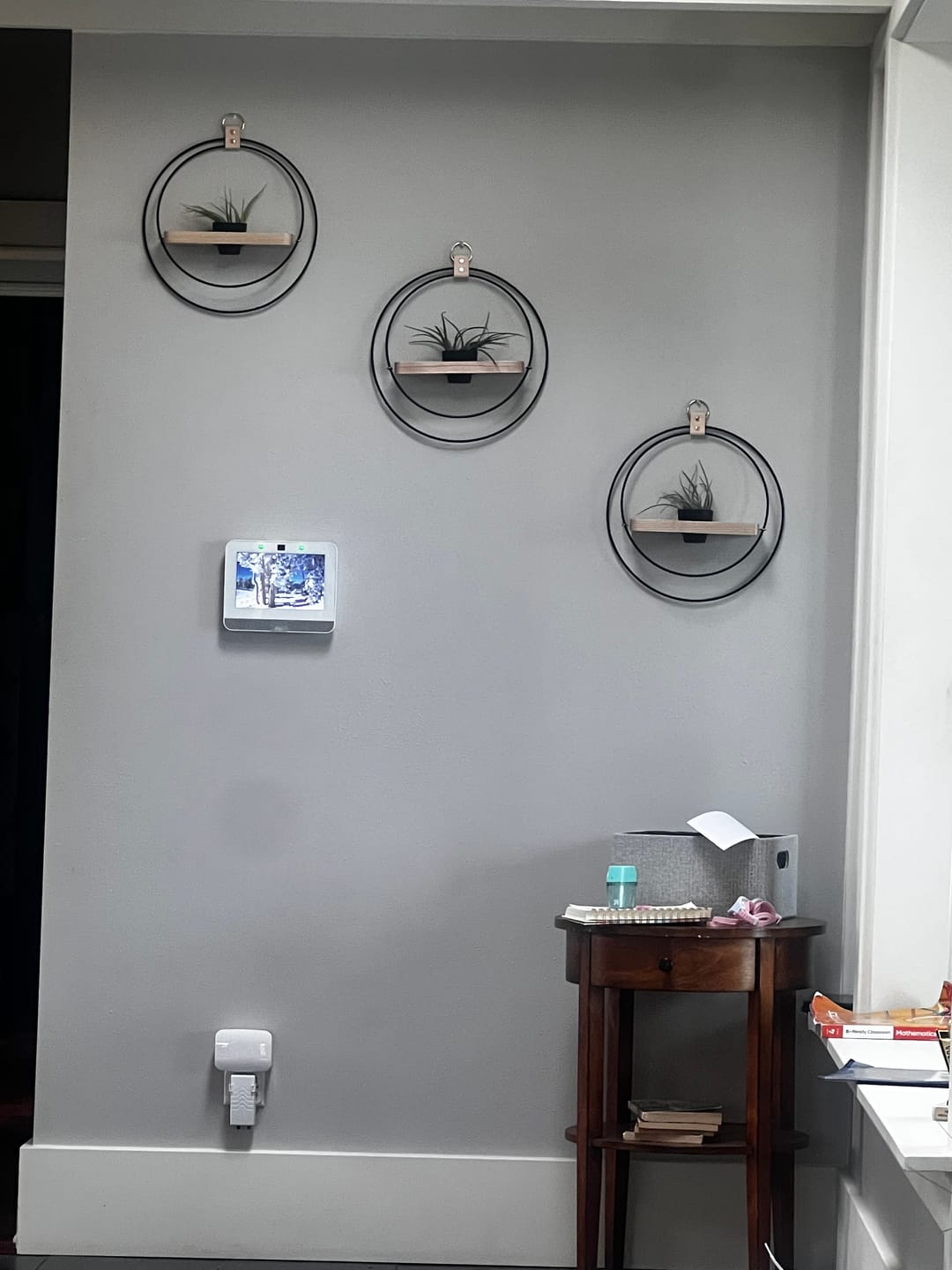 Customer photo review of Air Plant Shelf + Pot Trio