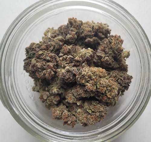 Customer photo review of Larry Bird