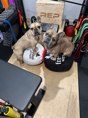 Customer photo review of Strongman Sandbag V3