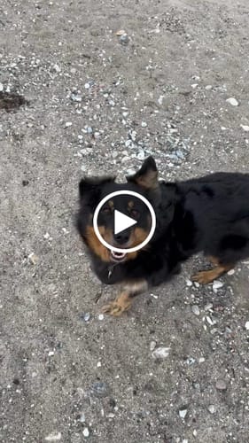 Customer video review of Easy Squeezy