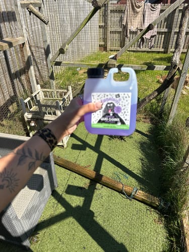 Customer photo review of Artificial Grass Cleaner in Fresh Cut Grass Fragrance