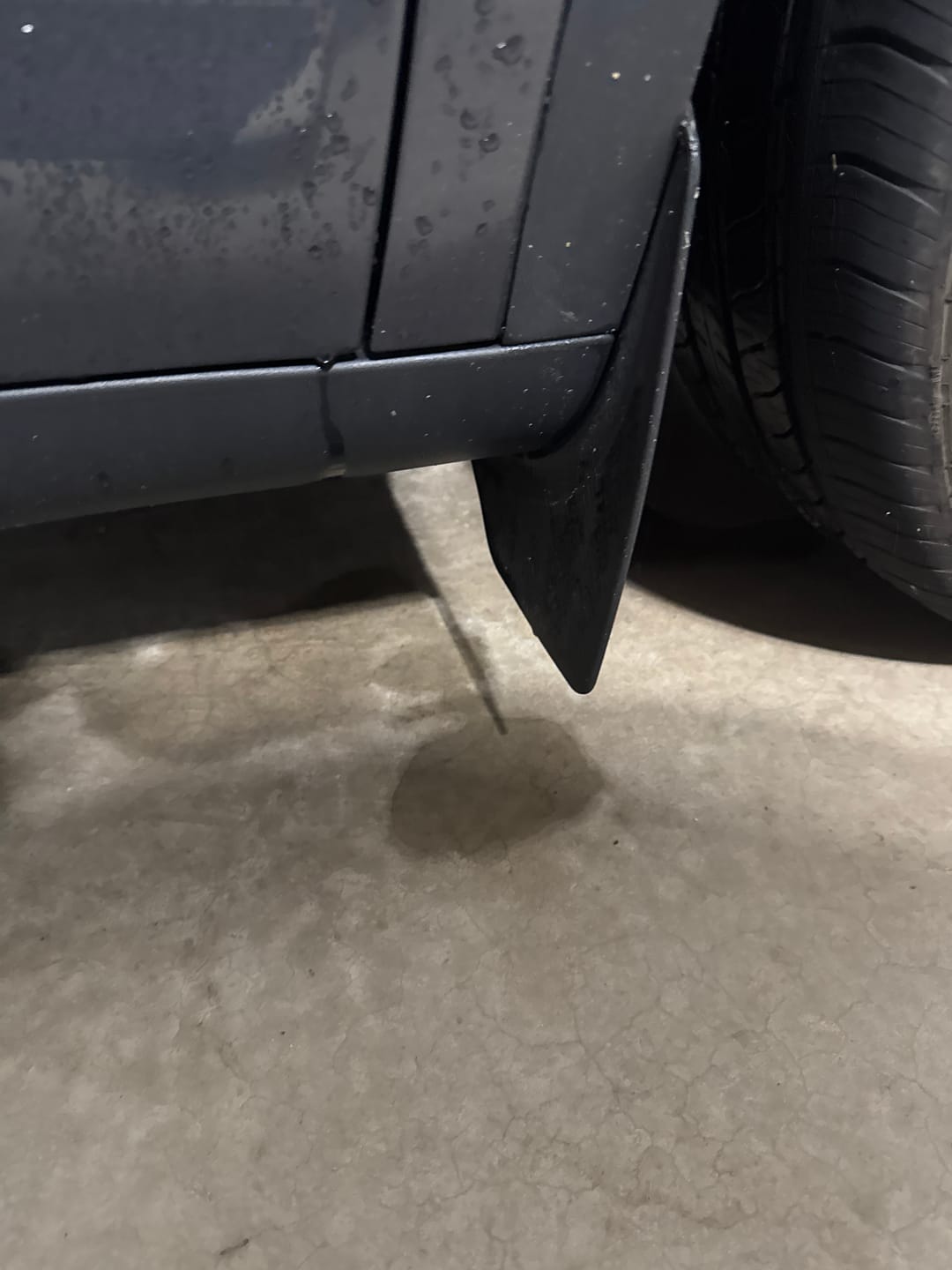 Customer photo review of Mud Flaps Splash Guards for Model Y