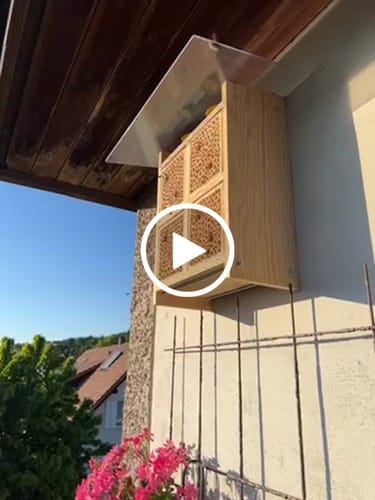 Customer video review of BeeHome Pro