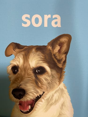 Customer photo review of Petcanva©オーダーメイド ブランケット