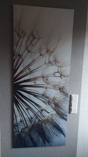 Customer photo review of Alu-Dibond Bild | Pusteblume | Schmal