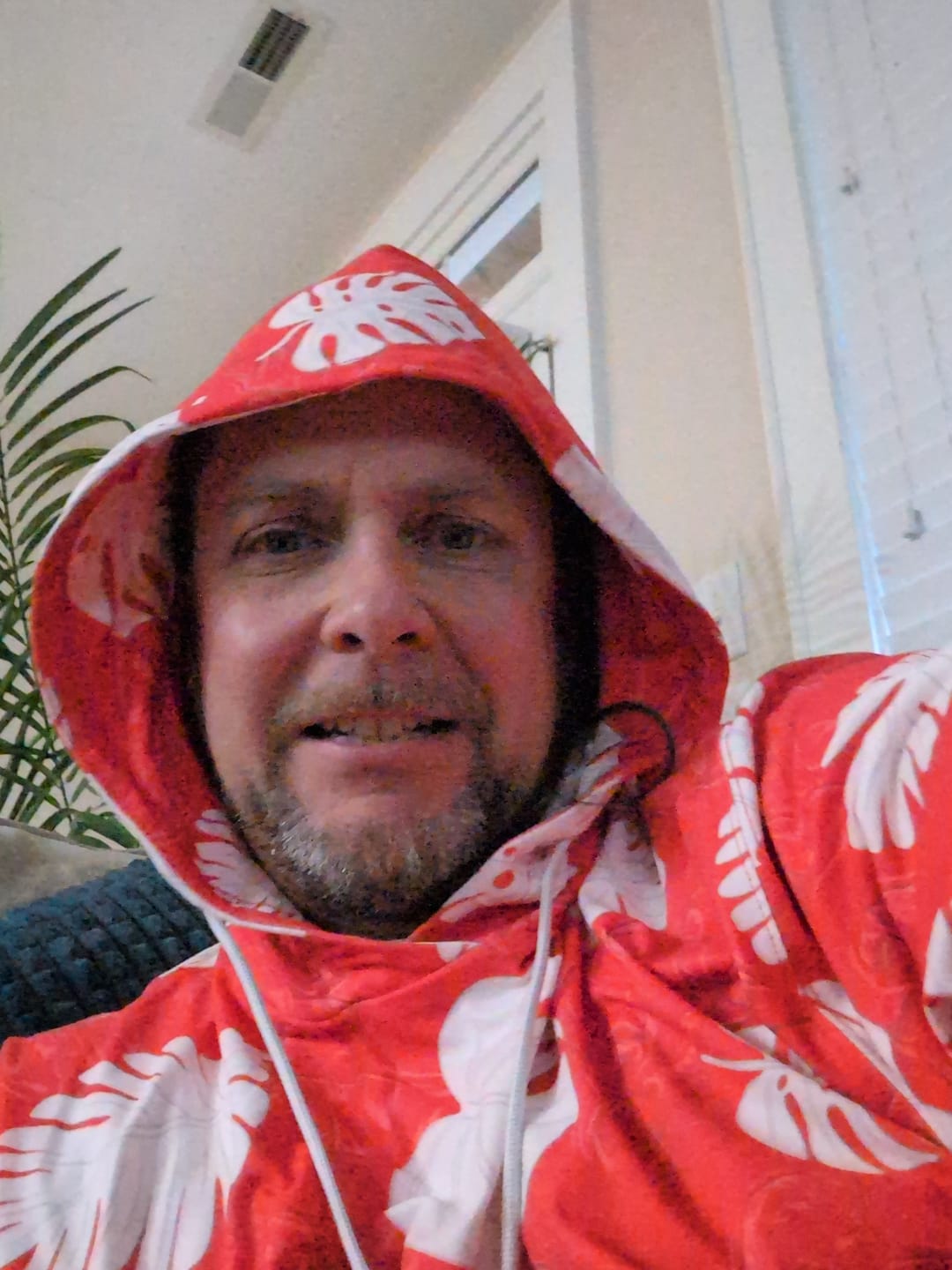 Customer photo review of Disney's Lilo & Stitch "He Mele No Lilo" – Performance Hoodie