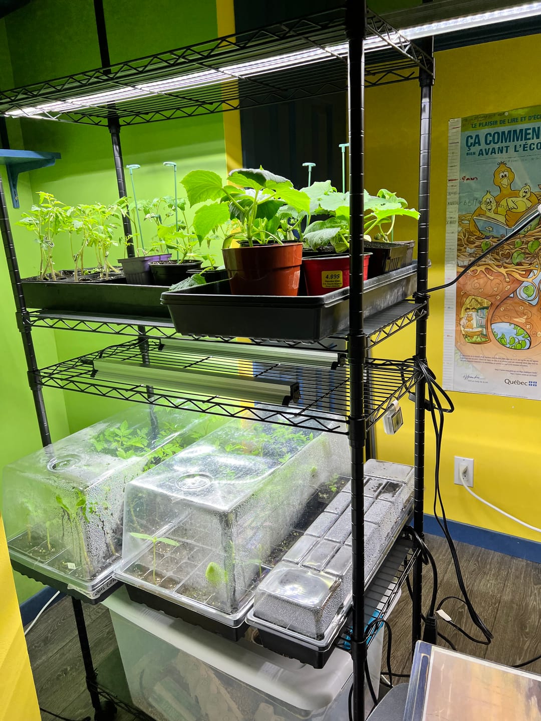 Customer photo review of Sunblaster LED High Output 6400K watt strip lights