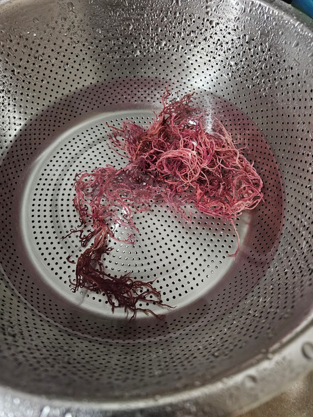 Customer photo review of Premium Purple Wildcrafted Raw Sun dried Sea Moss