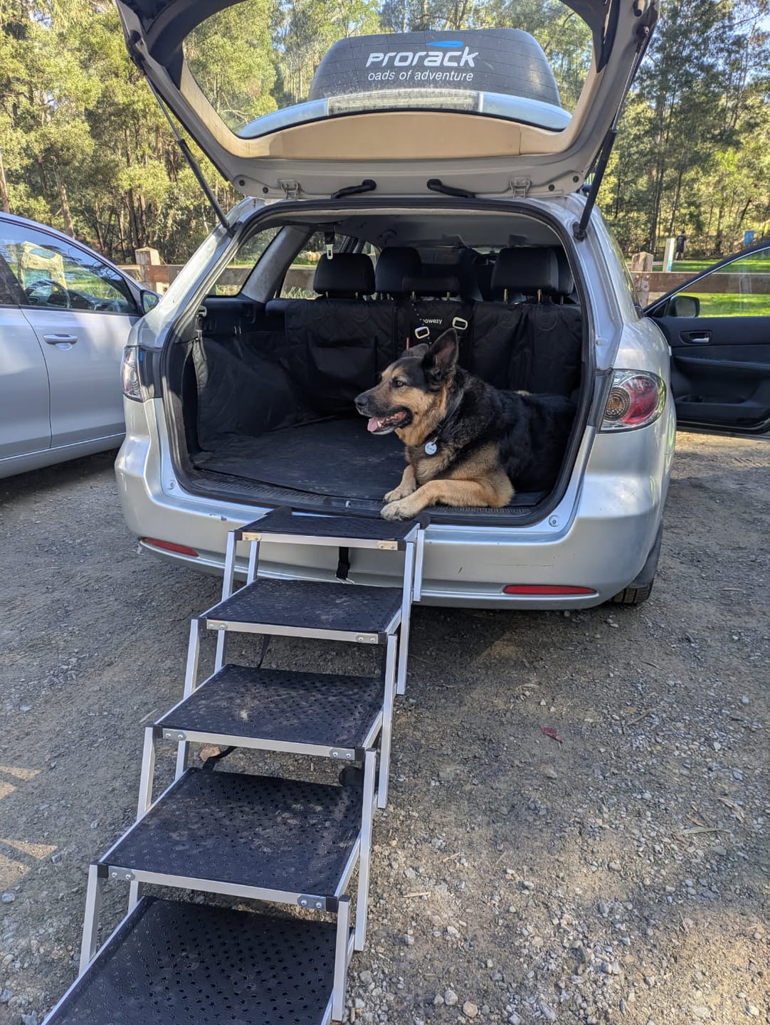 Customer photo review of PaWz Collapsible Dog Stairs - Aluminum