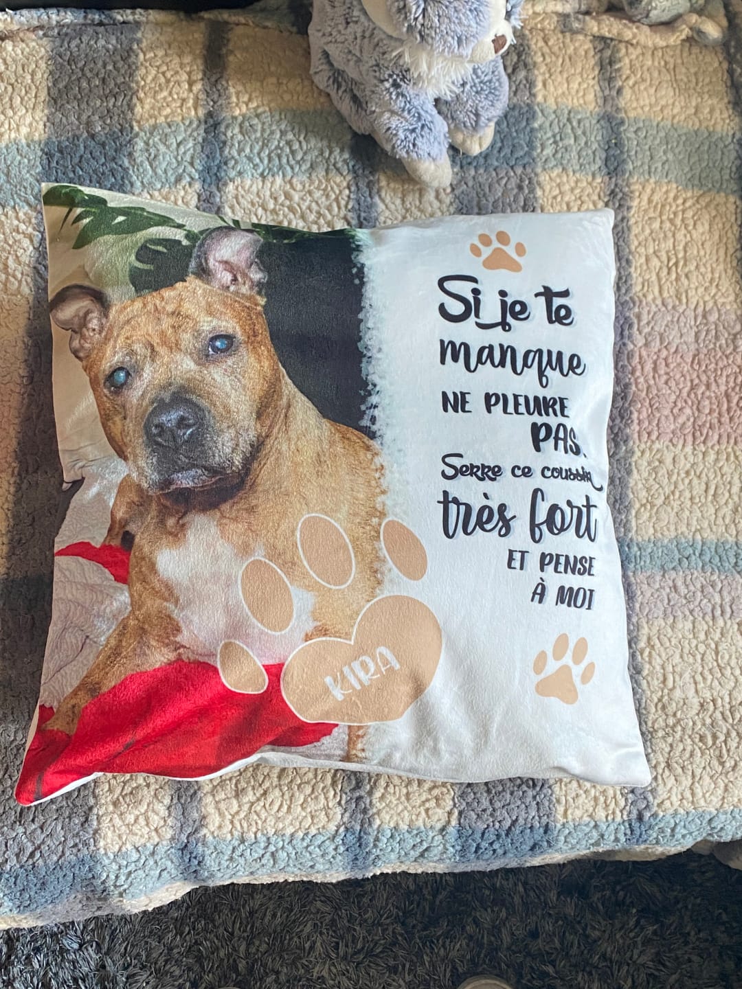 Customer photo review of Avec photo - Coussin personnalisé