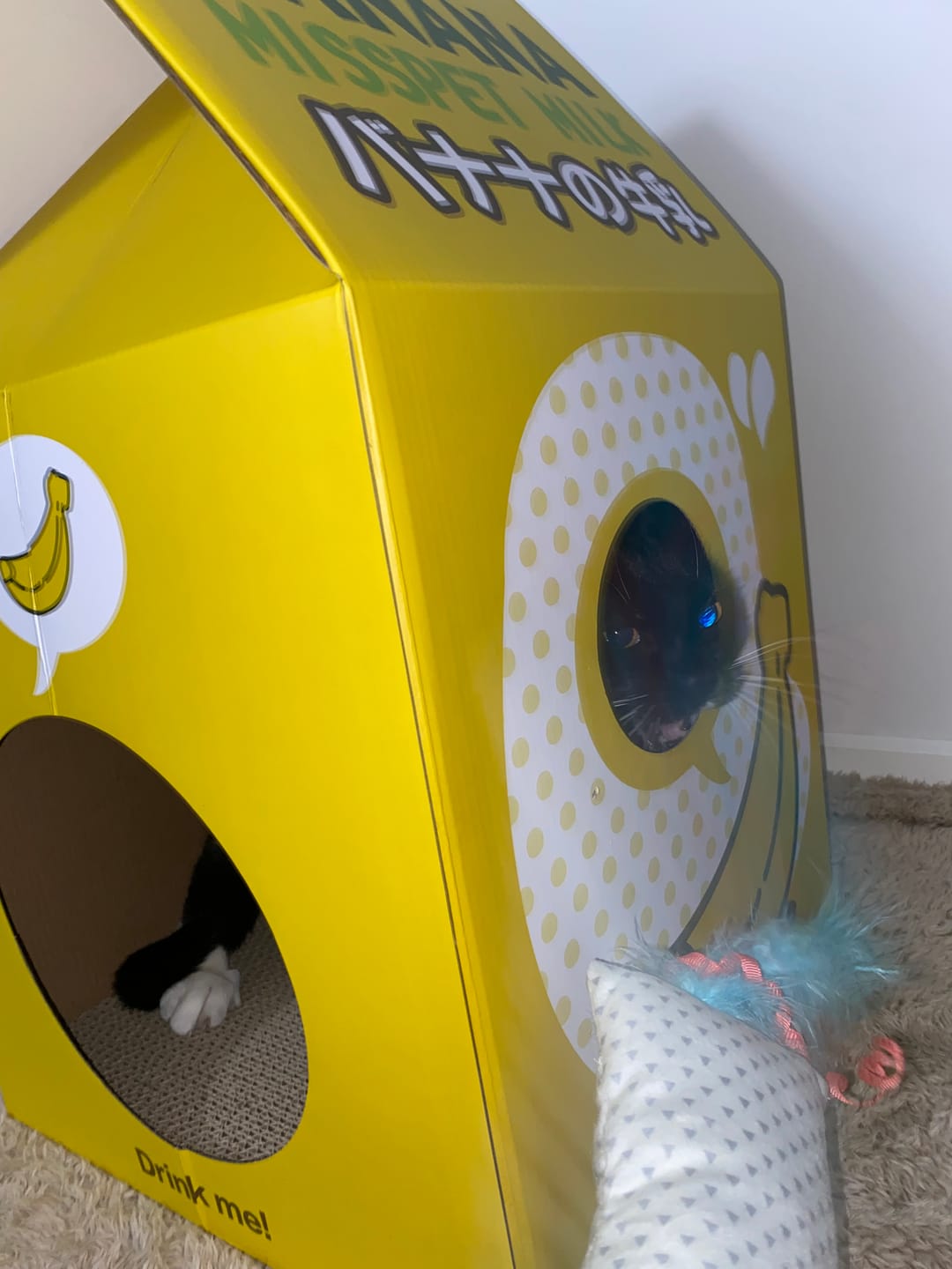 Customer photo review of Misspet Milk Box | Cat Scratcher and Nest