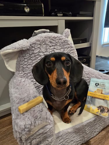 Customer photo review of Banana Yak Chews
