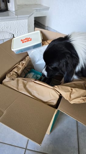 Customer photo review of Frischfutter für Energiebedarf von 976 kCal/Tag