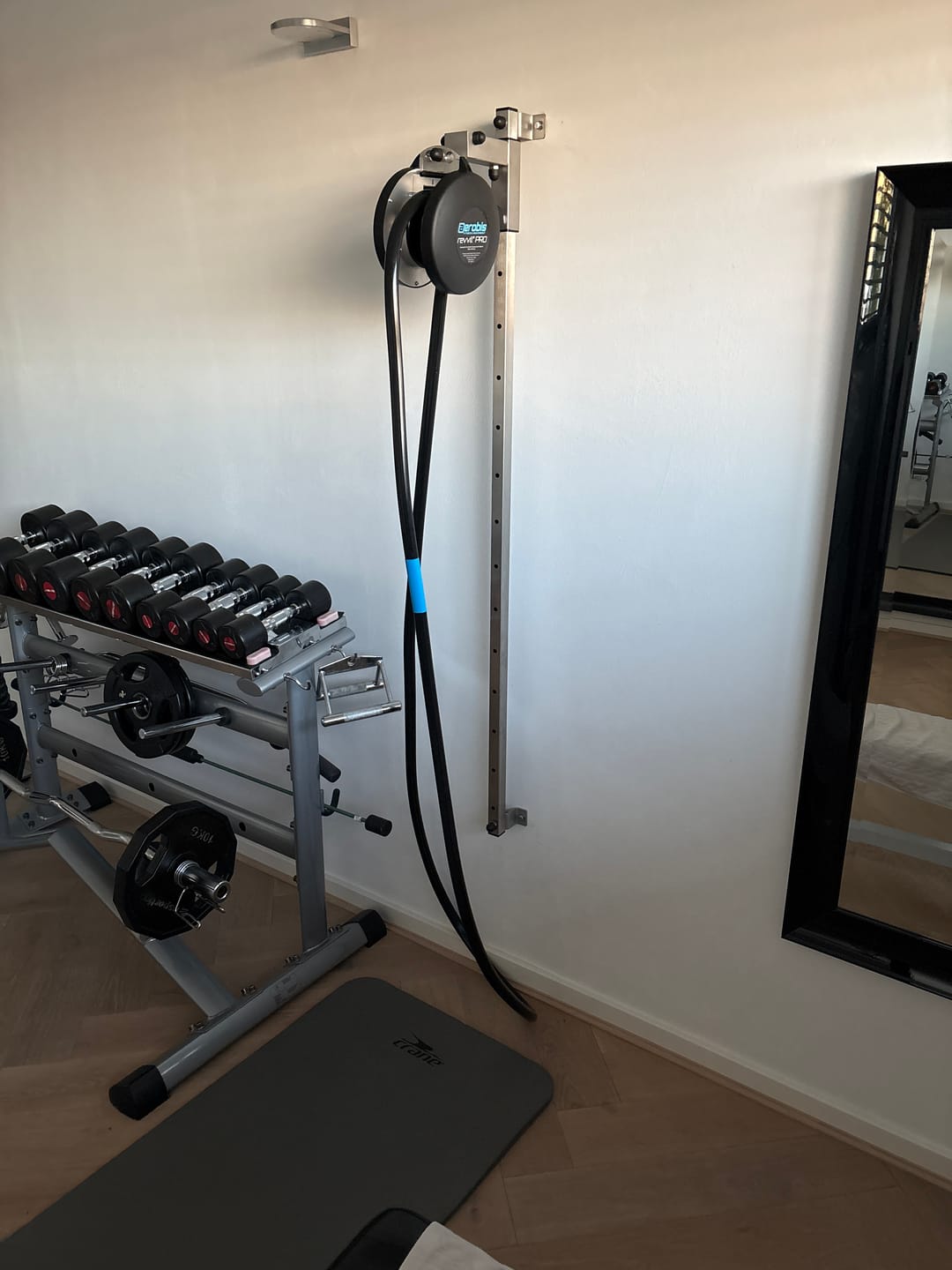 Customer photo review of revvll PRO - High-End Rope Trainer