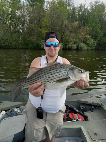 Customer photo review of Casting Pre-Built Rod