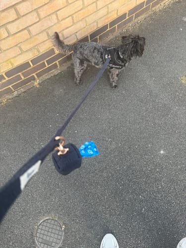Customer photo review of Midnight┃Bouclé Poop Bag Holder