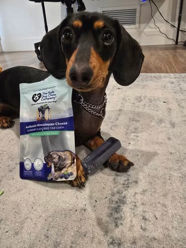 Customer photo review of Blueberry Yak Chews