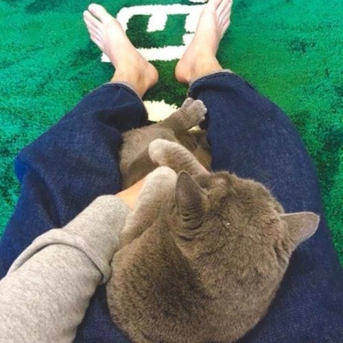 Customer photo review of "WET GRASS" RUG