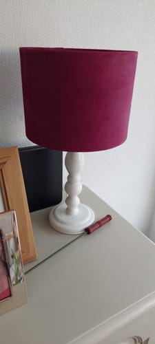 Customer photo review of Fabric Paint -- Raspberry