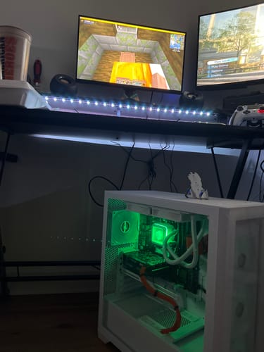 Customer photo review of Apex Silver