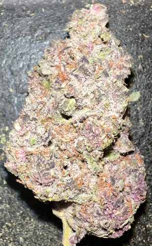 Customer photo review of Purple Trainwreck - Bulk - Sativa