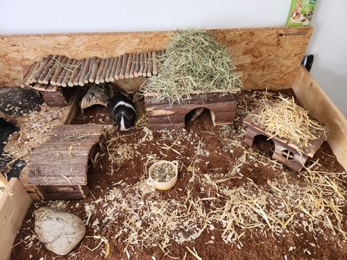 Customer photo review of Kleintiereinstreu