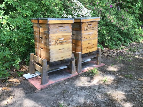 Customer photo review of BeeCastle Hives 10 Frame 4 Layer Complete Cedar Wood Beehive Kit:Designed with 2 Deep Beehive Boxes and 2 Super Bee Boxes,with Premium Wooden Frames and Beeswax Plastic Foundation