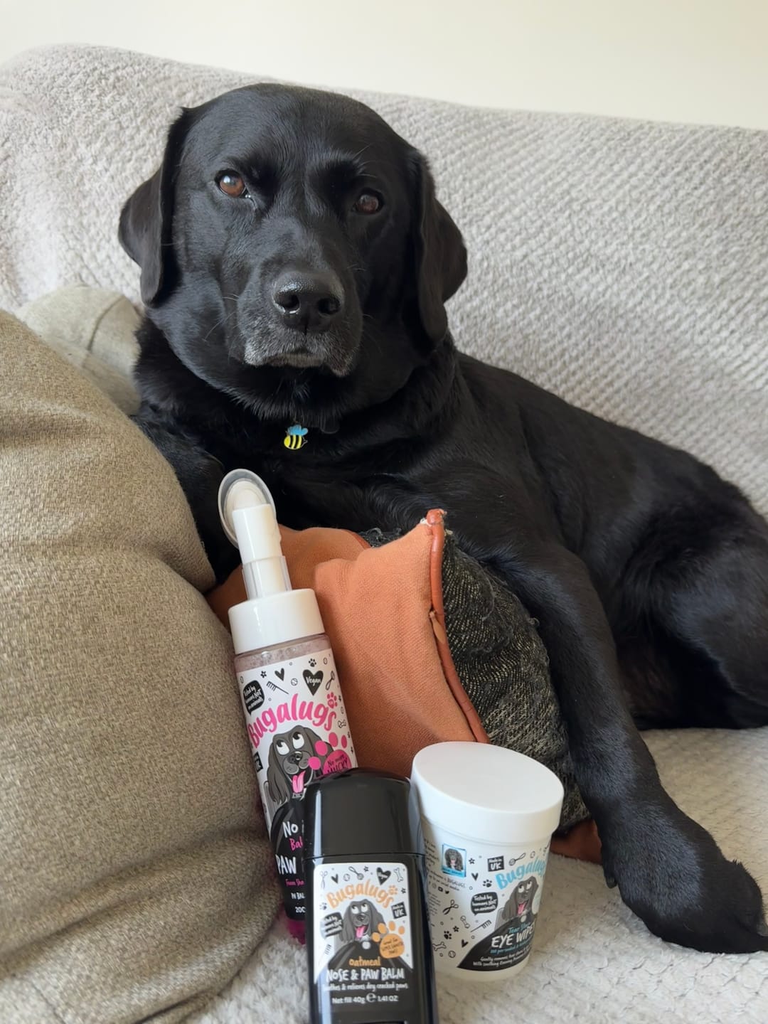 Customer photo review of Tear Stain Eye Wipes for Dogs 100 Pre-soaked & Biodegradable Wipes
