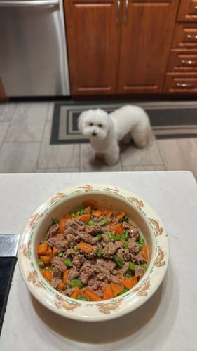 Customer photo review of Butcher's Pup - Saucisse pour chien 1 lbs