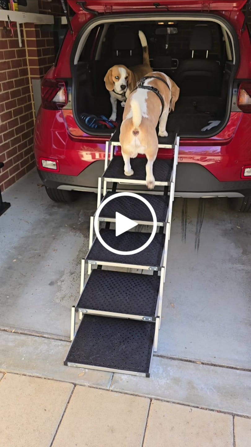 Customer video review of PaWz Foldable Aluminum Pet Steps