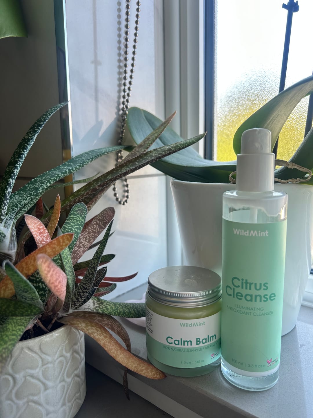 Customer photo review of Citrus Cleanse