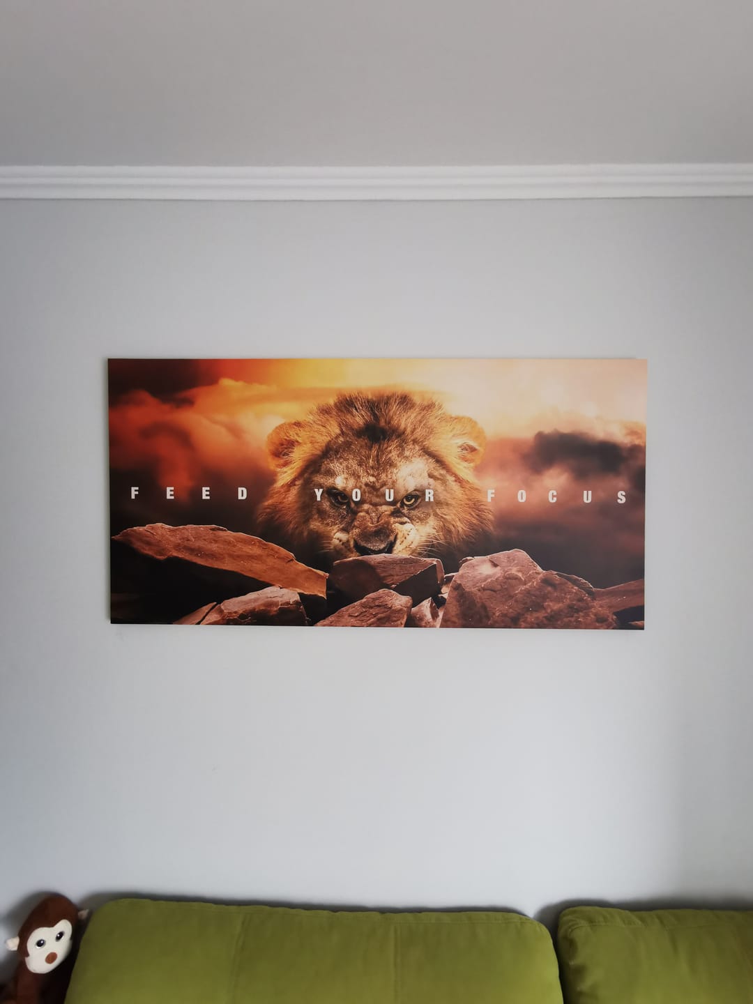 Customer photo review of Feed your focus