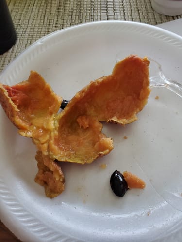 Customer photo review of Sapodilla (Nispero/Naseberry) *** Pre Order ***