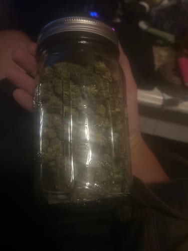 Customer photo review of Skywalker OG THCA Flower
